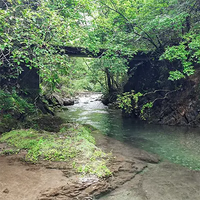 道湯川橋のせせらぎ